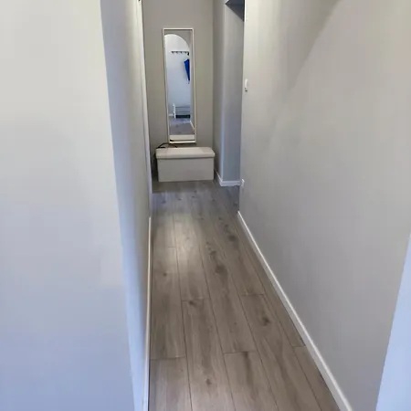 Ml 81 * 希欧福克